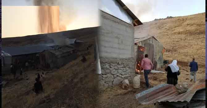 Muş'un Varto ilçesinde esrarengiz olay: 5 günde 5 ahır yakıldı