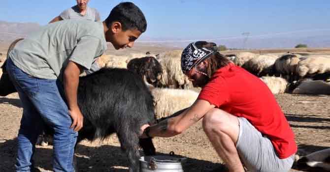 İtalyan turist Hakkari'de koyun sağıp, inşaatta çalıştı