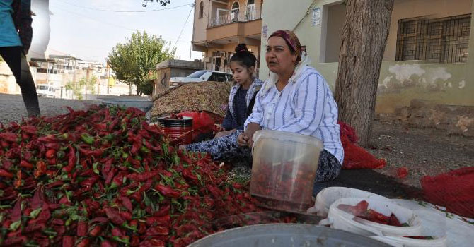 Gaziantep'te kaybettiği kimlik fotokopisinin üzerinde Hakkari'de hat alındı