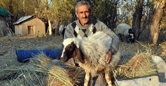 Yüksekovalı 'Sarı Kız'ın sahibi Atasoy artık çok mutlu