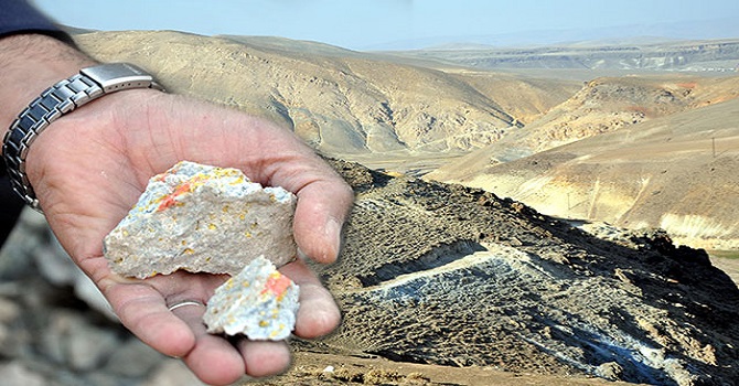 Ağrı'nın Mollakara köyünde 'altın' sevinci