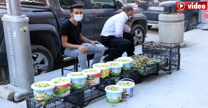 'Çukurca inciri' satarak aile bütçesine katkı sağlıyorlar