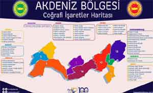 Akdeniz'in 'coğrafi işaret' haritası çıktı