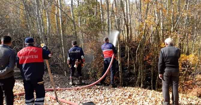 Hakkari'de ormanlık alanda yangın çıktı