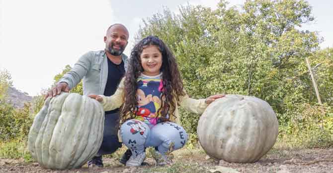 Şehir hayatından sıkılıp döndüğü memleketinde, dev kabaklar yetiştiriyor