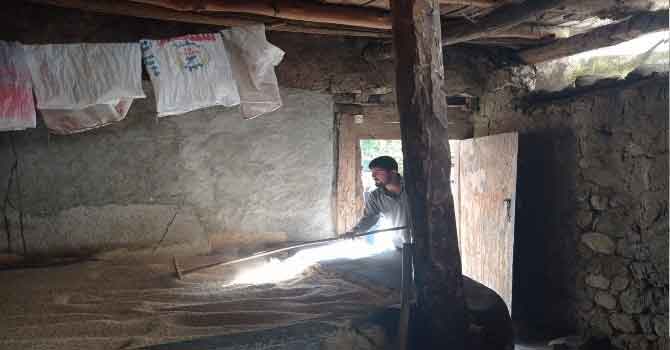 Çukurca'da 500 yıllık geleneği sürdürüyorlar