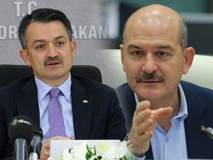 Bakan Soylu'nun Yüksekova isteğine Bakan Pakdemirli'den yanıt: Hemen ilgilenelim