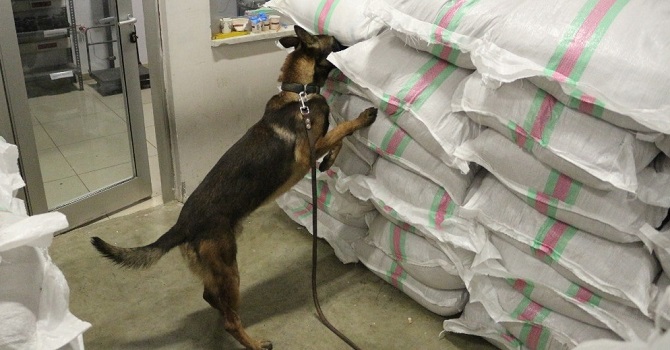 Yüksekova'da  3 milyonluk uyuşturucu operasyonu