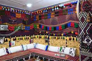 Hakkarili Seyranoğlu Denbejlik için Diwanxane kurdu