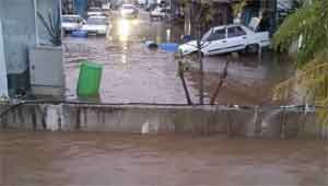 Sel ve hortum seralara zarar verdi