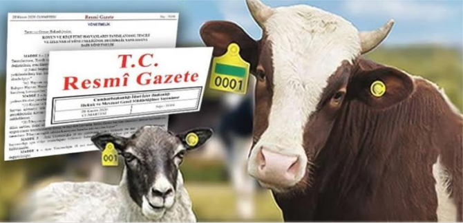 Hakkari’de “Kırsal Kalkınma Projeleri” İçin Başvurular Başladı