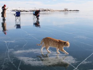 Buz tutan Çıldır Gölü'nde renkli görüntüler
