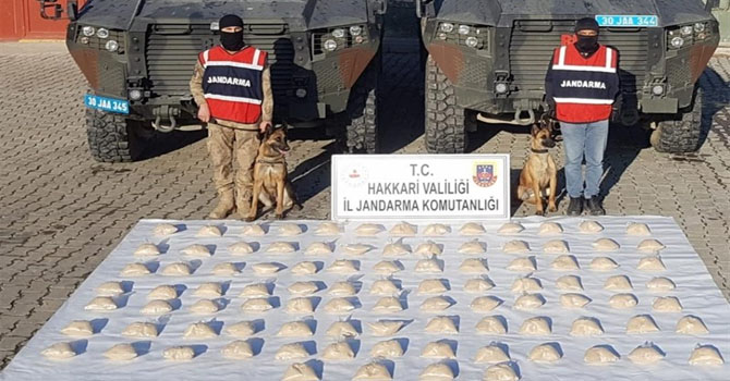 Hakkari Jandarmadan uyuşturucu baskını: 48 kilo eroin ele geçirildi
