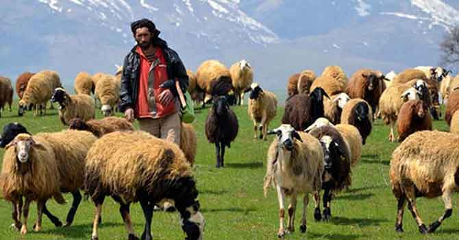 2021 Pilot İl Hakkari