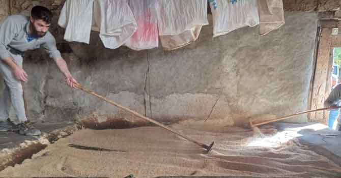 Sınırın sıfır noktasında organik tahin üretimi