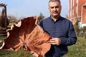 Adıyaman'da yeni bitki türü keşfedildi