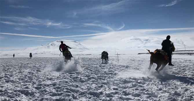 Kar üstünde cirit şov
