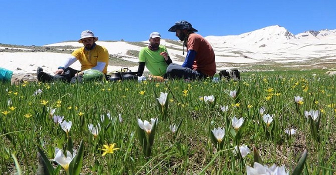 2021'de cemreler ne zaman düşüyor?