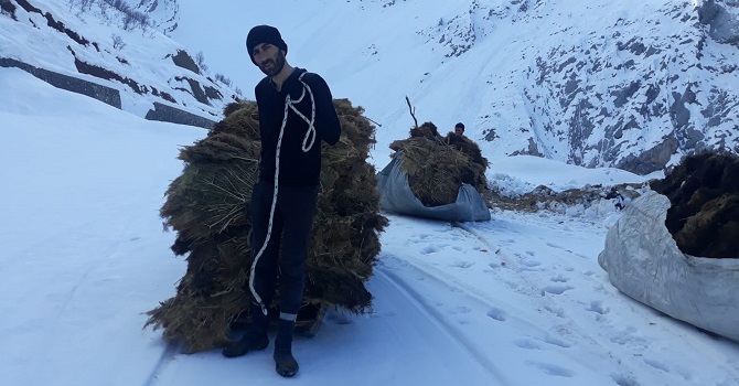 Yüksekova'da Yol olmayınca kızakla ot taşıdılar: 1 yaralı