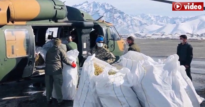Hakkari'de Helikopterden yaban keçilerine yem atıldı