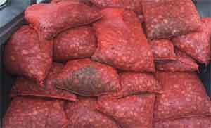 1 ton kaçak midye ele geçirildi