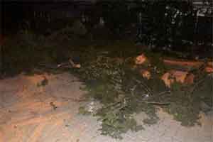 İstanbul ve Bursa'da gece başlayan kar yağışı etkili oluyor