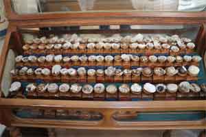 Doktordan hayrete düşüren koleksiyon