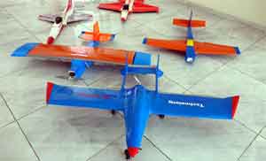 Ercişli 2 kız öğrenci, insansız model uçak yaptı