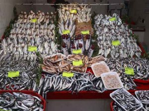 Havalar ısındı balık tezgahları doldu, fiyat düştü