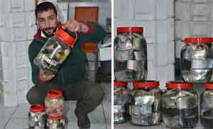 Kavanozu 350 lira olan lakerda yok satıyor