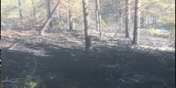 Köyde çıkan yangında 60 arı kovanı kül oldu