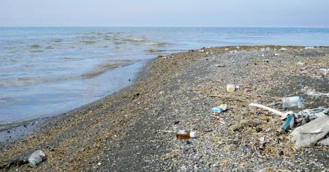 Van Gölü çöplük alanına dönüştü