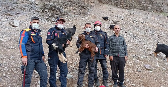 AFAD'dan 4 saatlik keçi kurtarma operasyonu