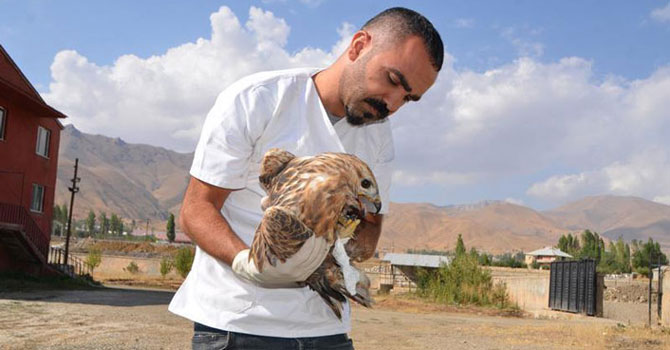 Tilki besleme ile başlayan doğa ve hayvan sevgisi