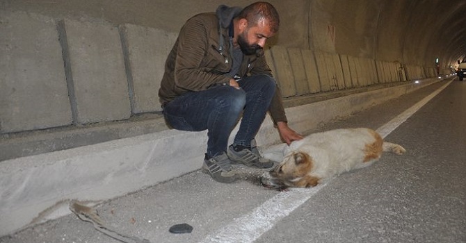 Yüksekova'da yaralanan köpeğinin başından bir an olsun ayrılmadı