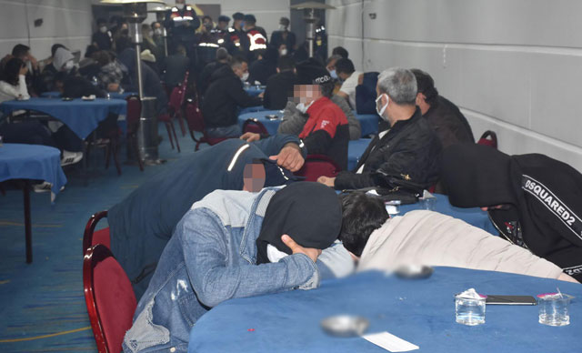 Hayvan çiftliğine 'kumar' operasyonu