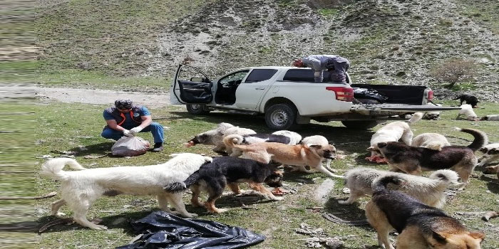 Hakkari'de can dostlar için yiyecek bırakıldı
