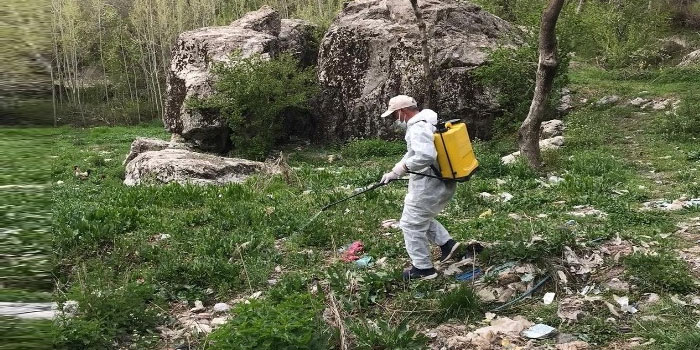 Hakkari'de ilaçlama çalışması