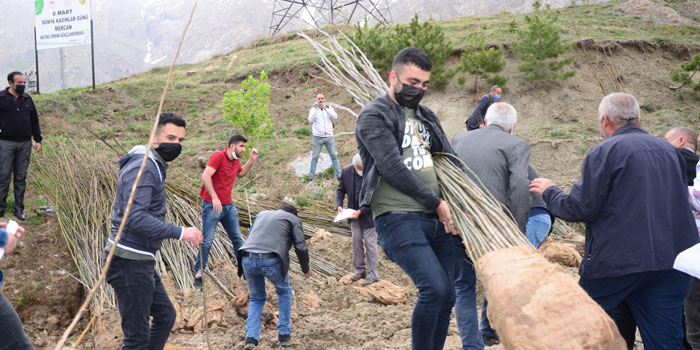 Hakkari’de 35 bin ceviz, badem ve çam fidanı dağıtıldı