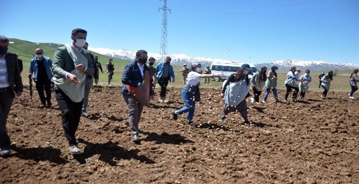 Yüksekova'da kadın eliyle ekim seferberliği