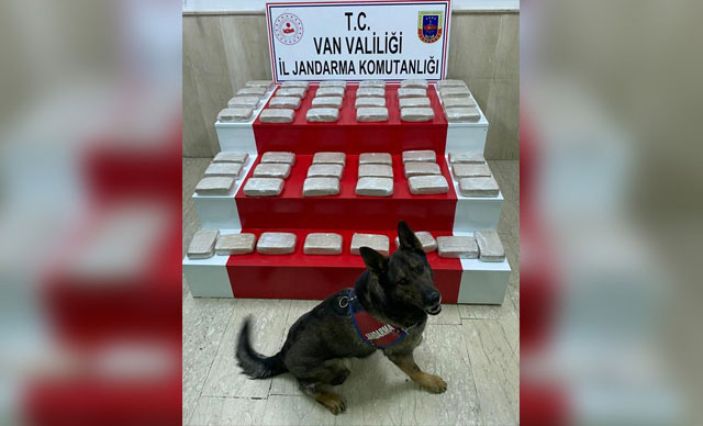 Evdeki 51 kilo eroini narkotik köpeği 'İbre' buldu