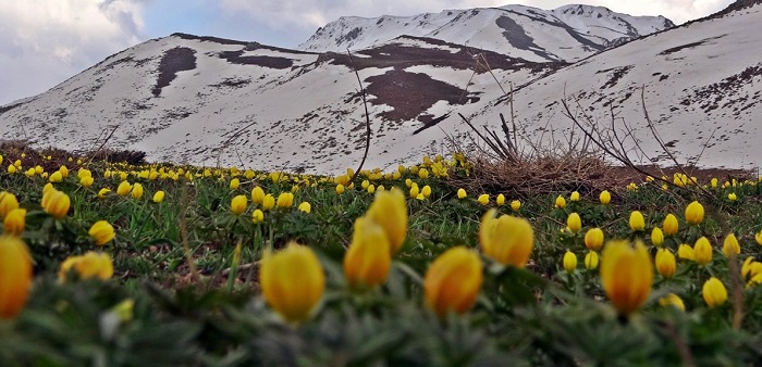 Yüksekova'da bahar güzelliği