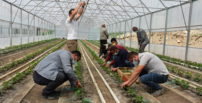 Erzincanlı ziraat mühendisi Hakkari'nin sınır ilçesindeki gönüllü çalışmalarıyla takdir topluyor