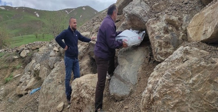 Hakkari'de tilkiler için yiyecek bırakıldı