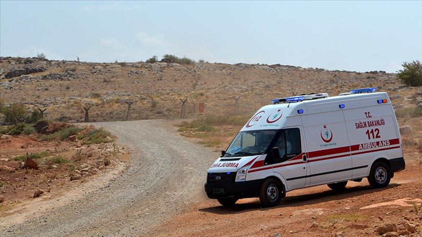 Ayı saldırısına uğrayan kişi yaralandı