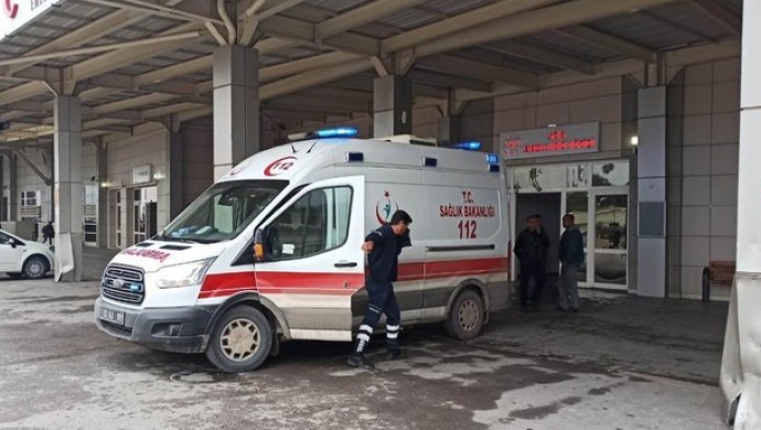 Yılanı vurmak isterken 4 çocuğunu yaraladı