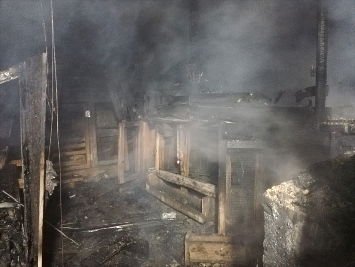 Kümeste çıkan yangında 250 hayvan telef oldu