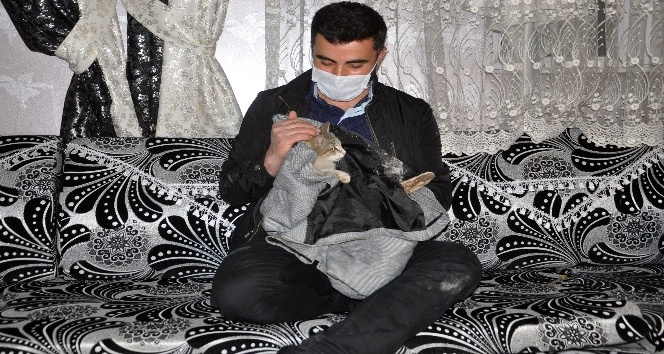 Yaralı kediye şefkat eli