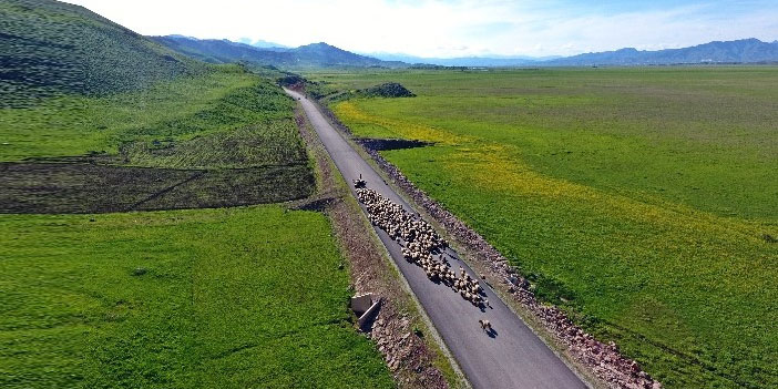 Göçerlerin renkli yolculuğu