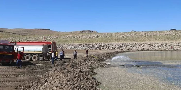 Gölette toplu balık ölümü